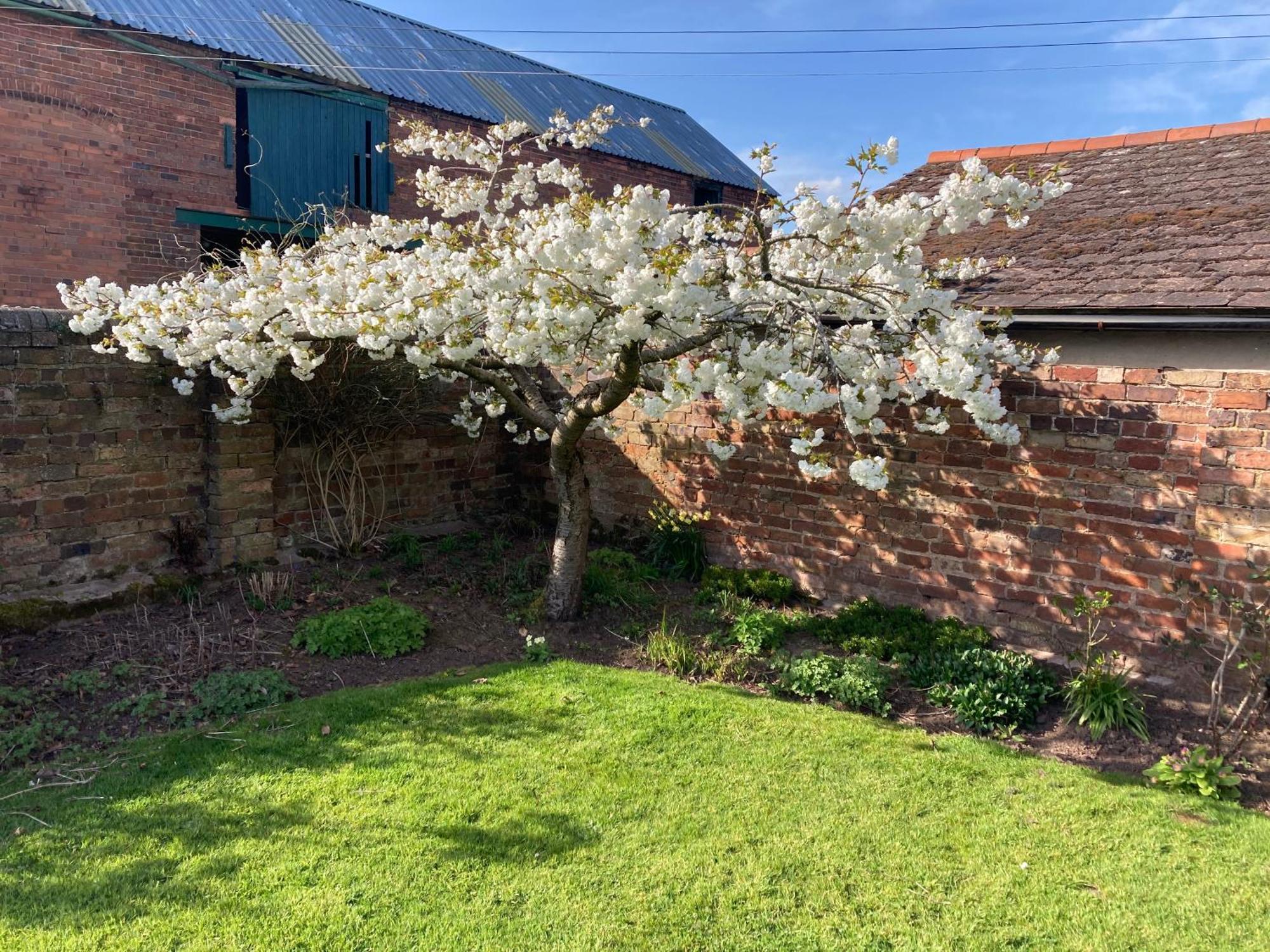 Church Farm B&B Near Telford And Ironbridge Shifnal Eksteriør billede