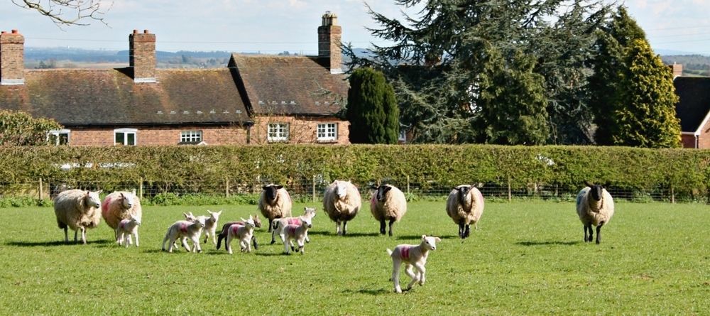Church Farm B&B Near Telford And Ironbridge Shifnal Eksteriør billede